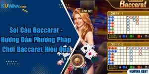 Soi Cầu Baccarat